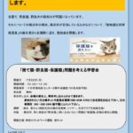 捨猫・保護猫」問題学習会　森永さん意見入れた最終版のサムネイル